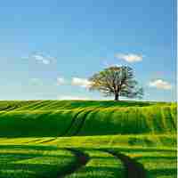 图‍像‍识‍别​脚‍本﻿会‌被​检‌测﻿出​来‌吗‍